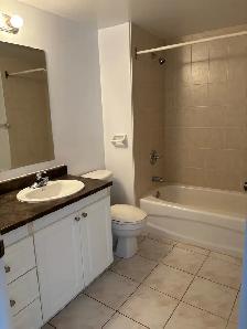 Spacious one bedroom plus den for rent Truro, November 1 - Photo 5