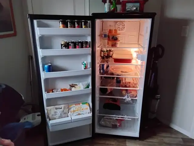 Danby Designer Fridge