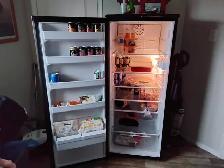 Danby Designer Fridge