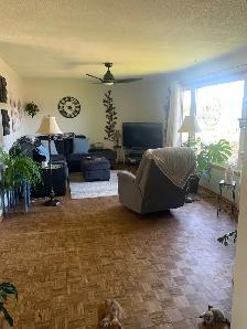 Home for sale - Photo 6
