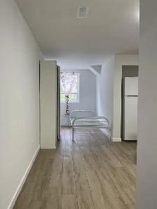 Bachelor Basement Apartment for Rent – Steeles West