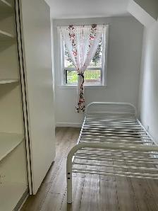 Bachelor Basement Apartment for Rent – Steeles West - Photo 2