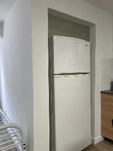 Bachelor Basement Apartment for Rent – Steeles West - Photo 7