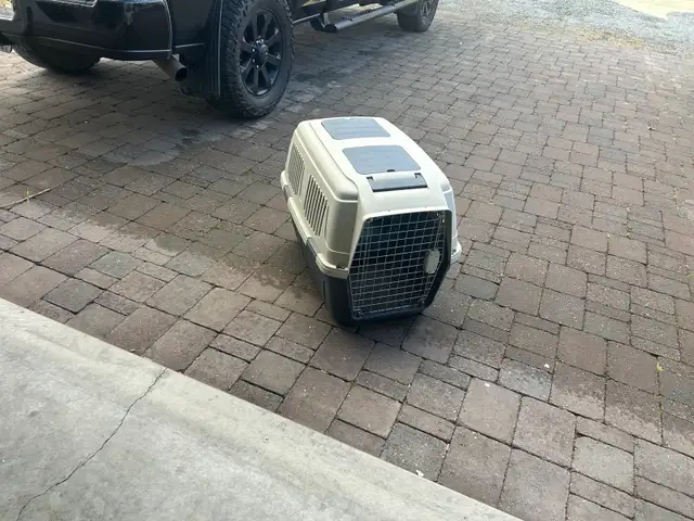 dog kennel