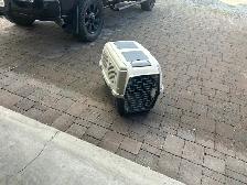 dog kennel