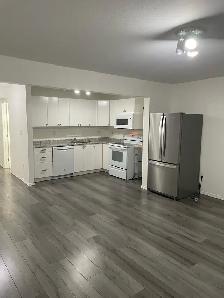 For Rent