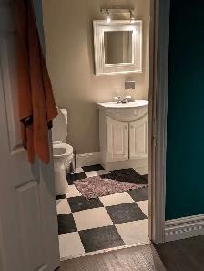 1 Bedroom basement apartment - Photo 6