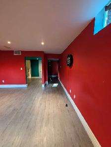 1 Bedroom basement apartment - Photo 10