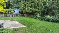 3 Bed Den UPPER suite in House with HUGE yard - Photo 8