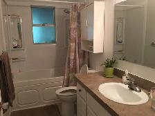 3 Bed Den UPPER suite in House with HUGE yard - Photo 9