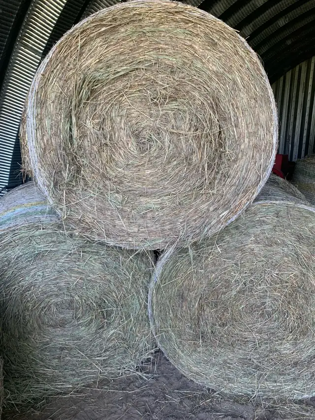 4x4 Rounds bales for sale .