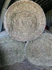4x4 Rounds bales for sale .