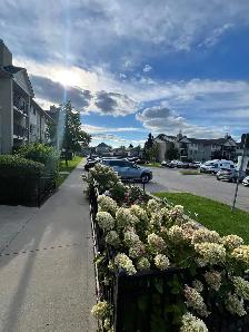 2 Bedroom Condo Apartment - Photo 2