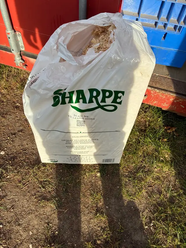 Soft wood shavings