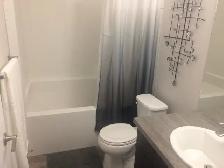NEW FURNISHED 2 BEDROOM BASEMENT! LEGAL SUITE! - Photo 10