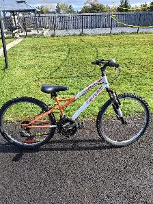 Mountain Bike
