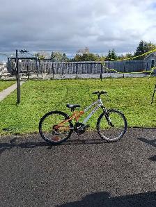 Mountain Bike - Photo 2