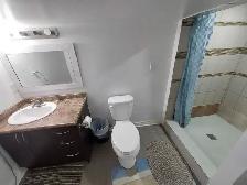 Rent/Full Basement - 2 Bedroom   Separate Study - Brampton East - Photo 9