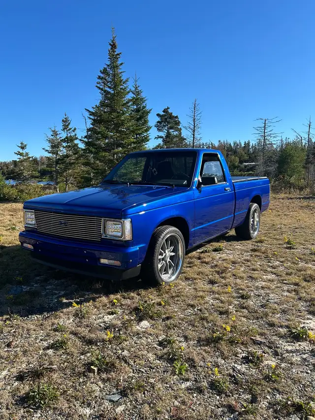 1987 S 15