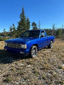 1987 S 15