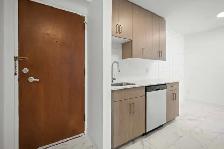 NEWLY Renovated 1 Bed Apartment - Located in the West End! - Photo 5