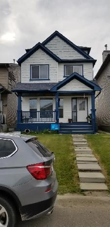 SEPARATE ENTRY BASEMENT: WiFi LAUNDRY, UTILITIES- SADDLETOWNE NE