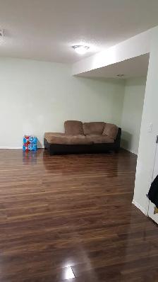 SEPARATE ENTRY BASEMENT: WiFi LAUNDRY, UTILITIES- SADDLETOWNE NE - Photo 3