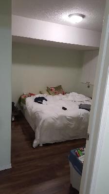 SEPARATE ENTRY BASEMENT: WiFi LAUNDRY, UTILITIES- SADDLETOWNE NE - Photo 4