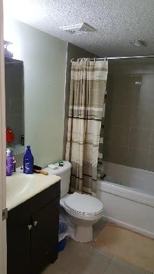 SEPARATE ENTRY BASEMENT: WiFi LAUNDRY, UTILITIES- SADDLETOWNE NE - Photo 7