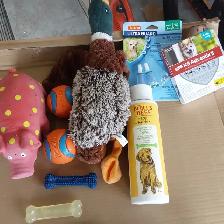 Holdog Electric Pet Grooming Kit with Wahl Accessories - Photo 9