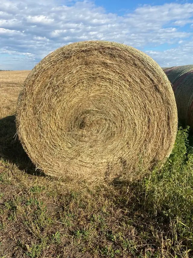 Hay Bales