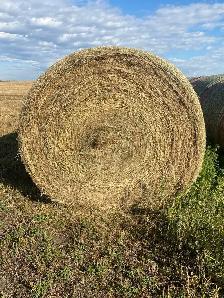 Hay Bales