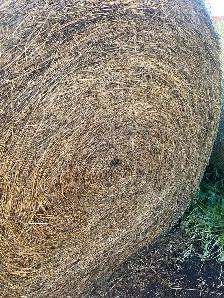 Hay Bales - Photo 2