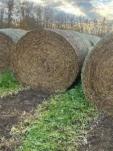 Hay Bales - Photo 3