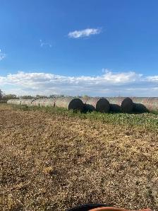 Hay Bales - Photo 5