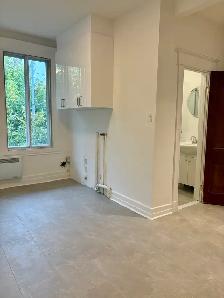 4 1/2 Vieux-Rosemont - Photo 3
