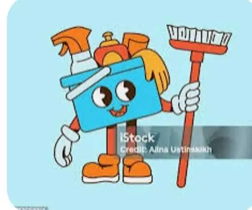cleaner wanted