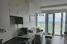 Furnished 1-Bedroom Condo at M2 M City | $2,000 | Available Nov1 - Photo 12