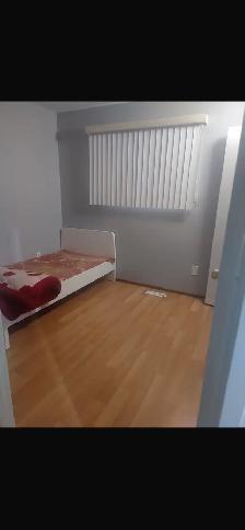 2 rooms for rent - Photo 2
