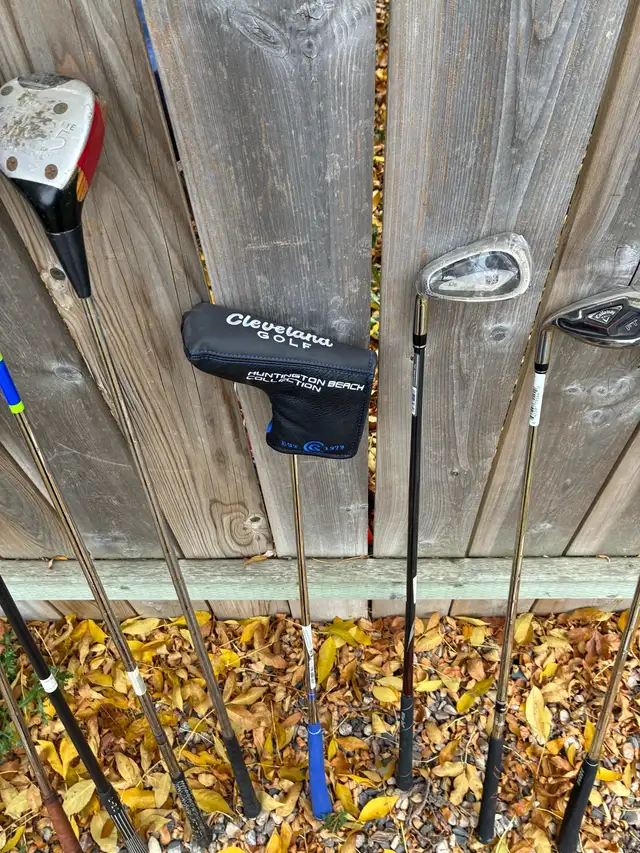 Putters for Sale