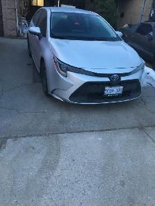 PARKING for RENT - Photo 3
