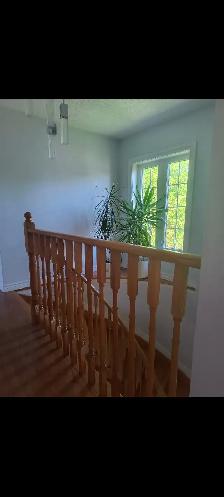 Room for rent female Occupancy - Photo 5