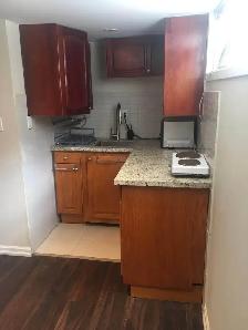 Bright Lower-Level Suite | Bayview & Taylor Mills | Walk to Shop - Photo 3