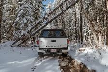 Aluminum truck canopy - Photo 4