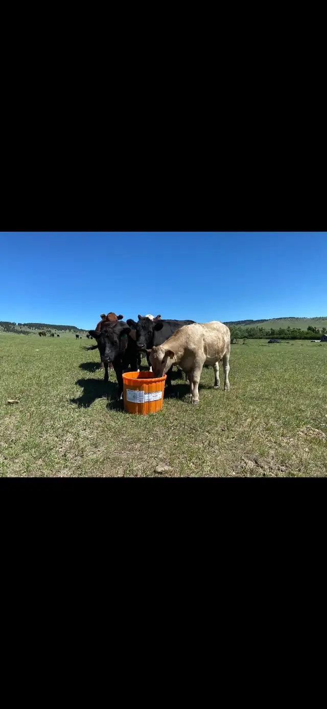 Riomax mineral tubs
