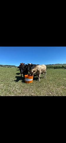 Riomax mineral tubs