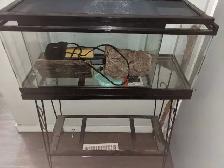 2 Glass Reptile Tanks, 1 Stand, in Good Condition w/ Accessories - Photo 2