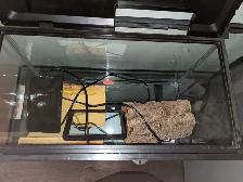 2 Glass Reptile Tanks, 1 Stand, in Good Condition w/ Accessories - Photo 5