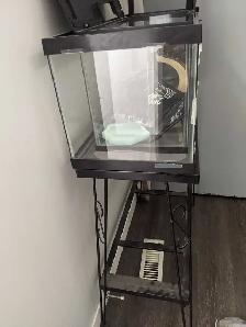 2 Glass Reptile Tanks, 1 Stand, in Good Condition w/ Accessories - Photo 8
