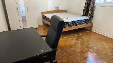 main floor and basement room for rent - Photo 3
